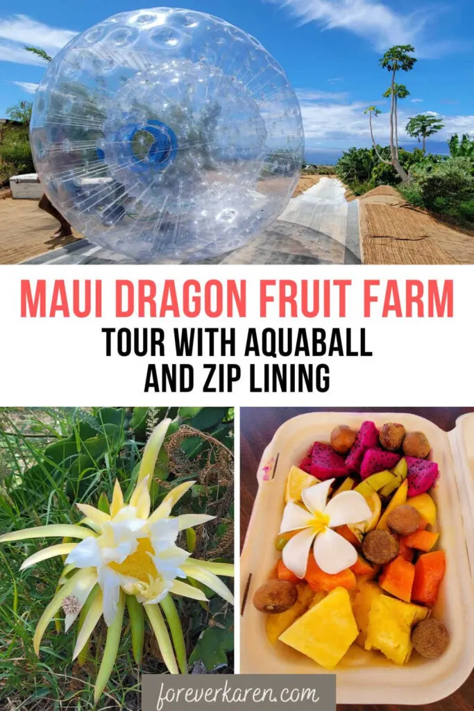 Agauaball, dragon fruit bloom and fruit plate at the Maui Dragon Fruit Farm