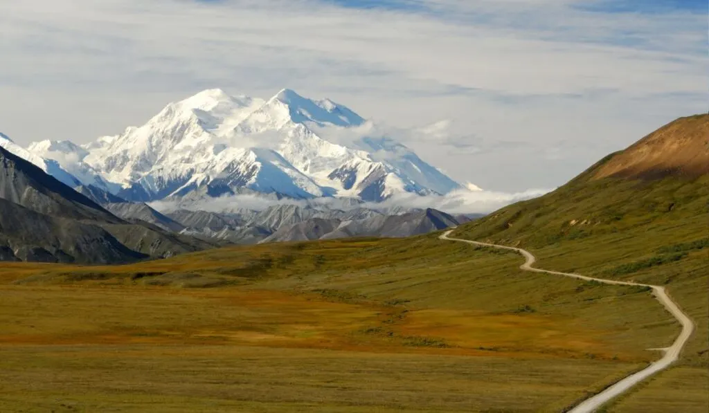 Denali National Park, often included on a cruise and land tour
