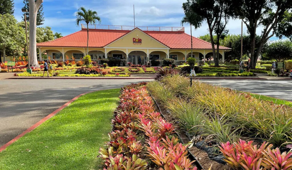 Dole Pineapple Plantation on Oahu