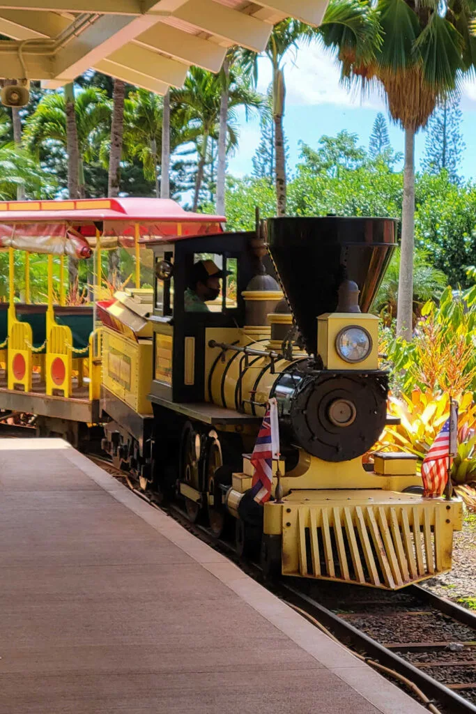 Dole Plantation Pineapple Express train