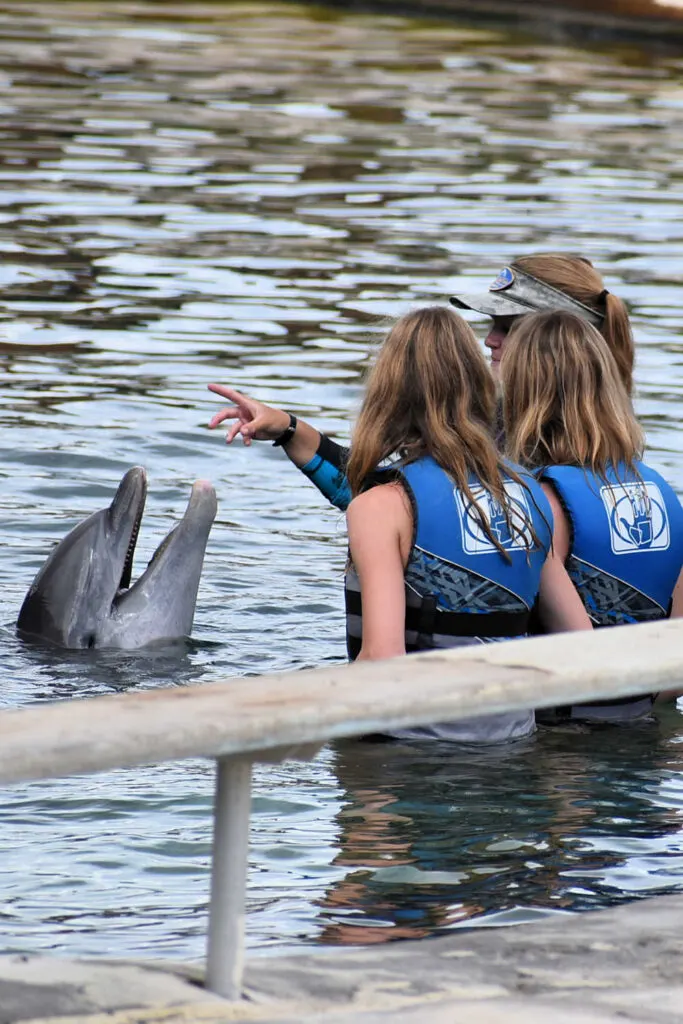 Dolphin Encounter at Sea Life Park, Oahu