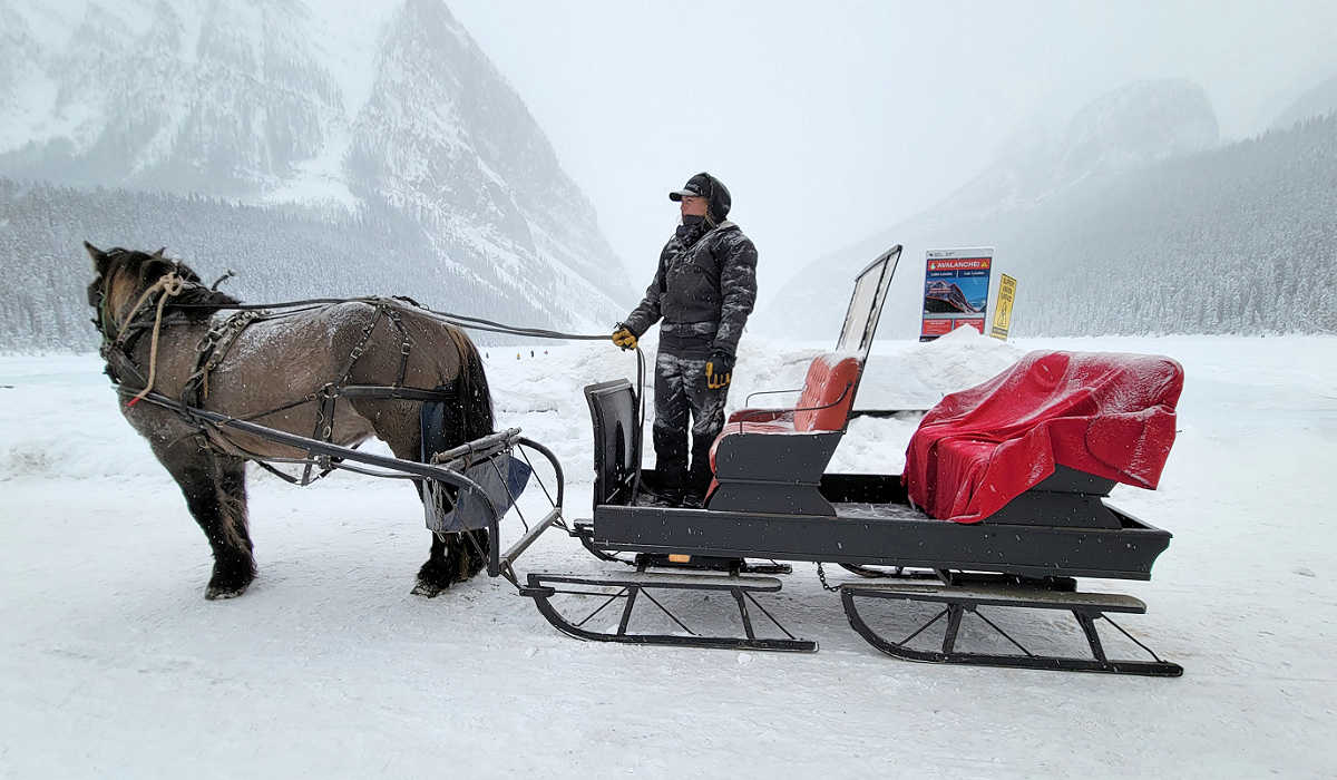 Horse-drawn sleigh at Lake Louise, Alberta