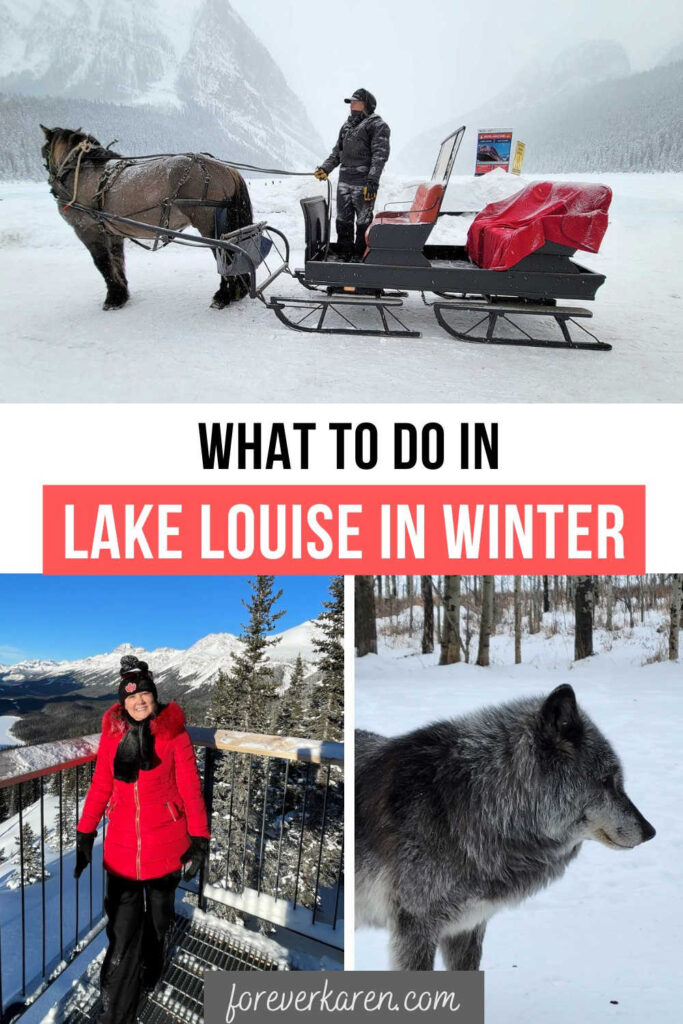 Horse-drawn sleigh at Lake Louise, a wolfdog and a scenic view in the Canadian Rockies