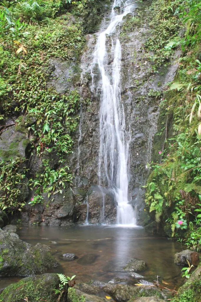 Manoa Falls, Oahu