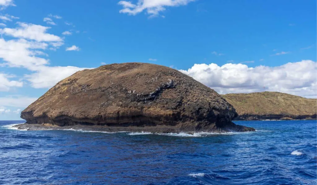 Molokini Crater bird sanctuary