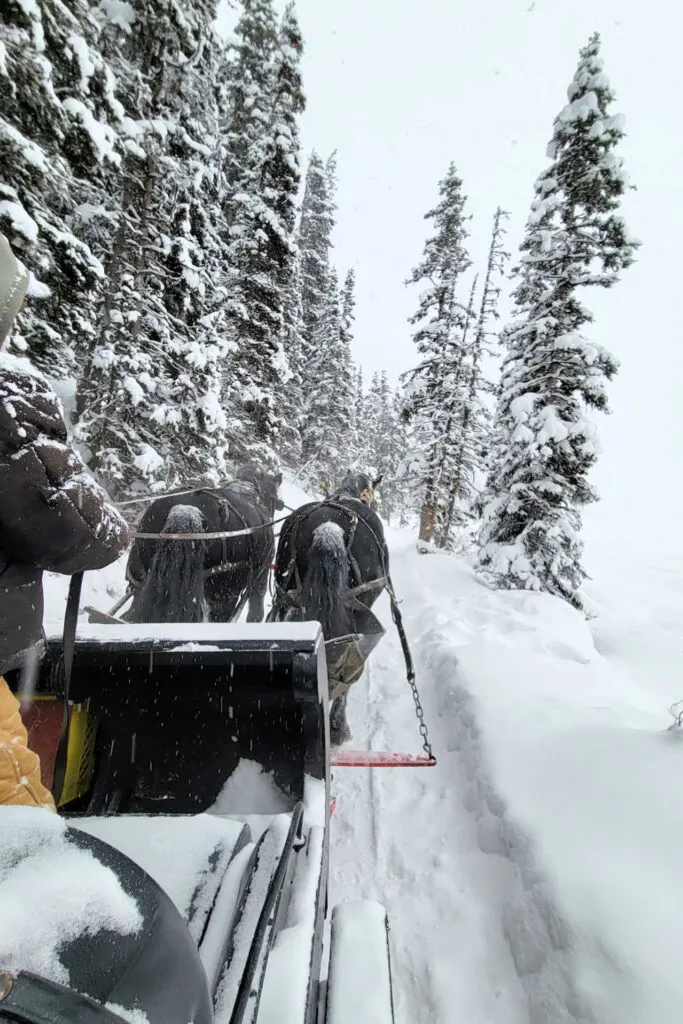 Riding a sleigh at Lake Louise in winter