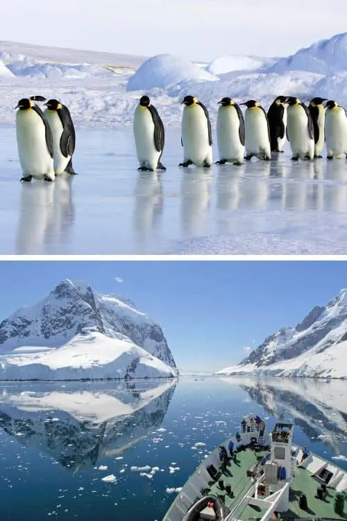 Penguins in Antarctica