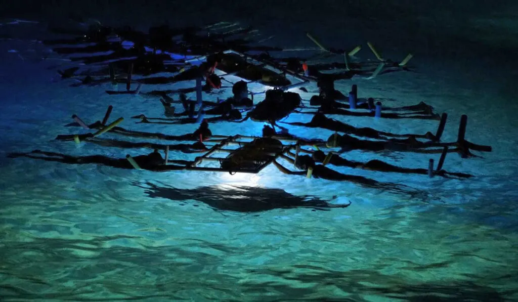 Snorkelers gathered around a lighted surf board to watch the manta rays in Kona, Hawaii