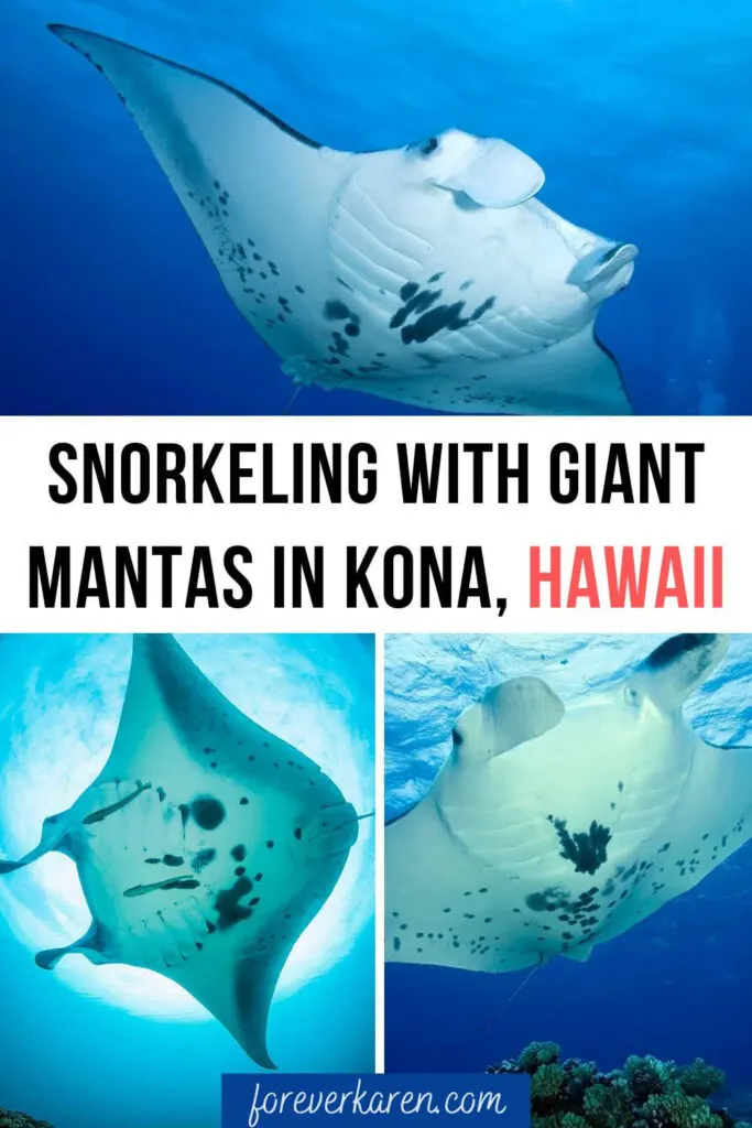 4 Days 3 Nights Manta Ray Adventure