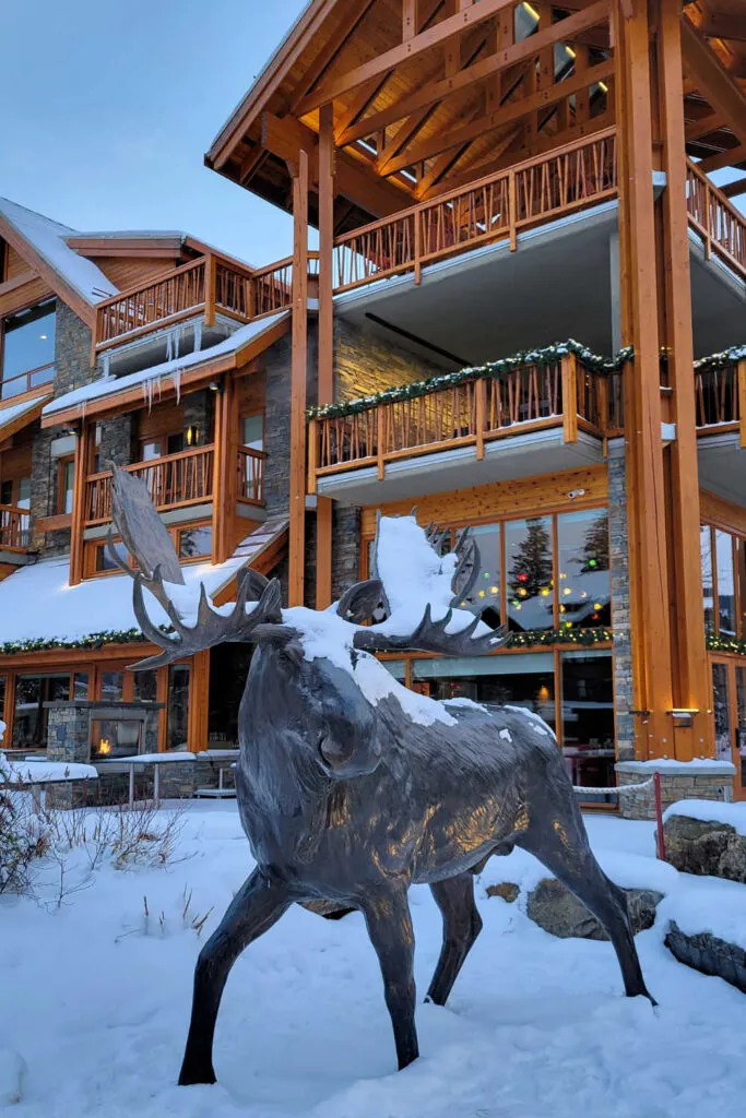 The Moose Hotel & Suites 