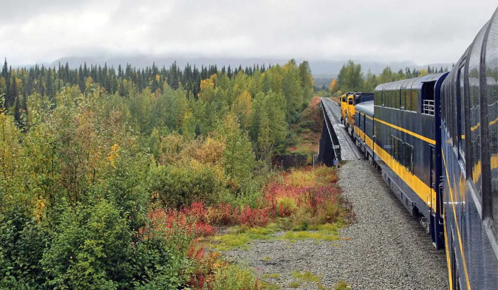 Traveling to a Denali lodge on a domed railcar