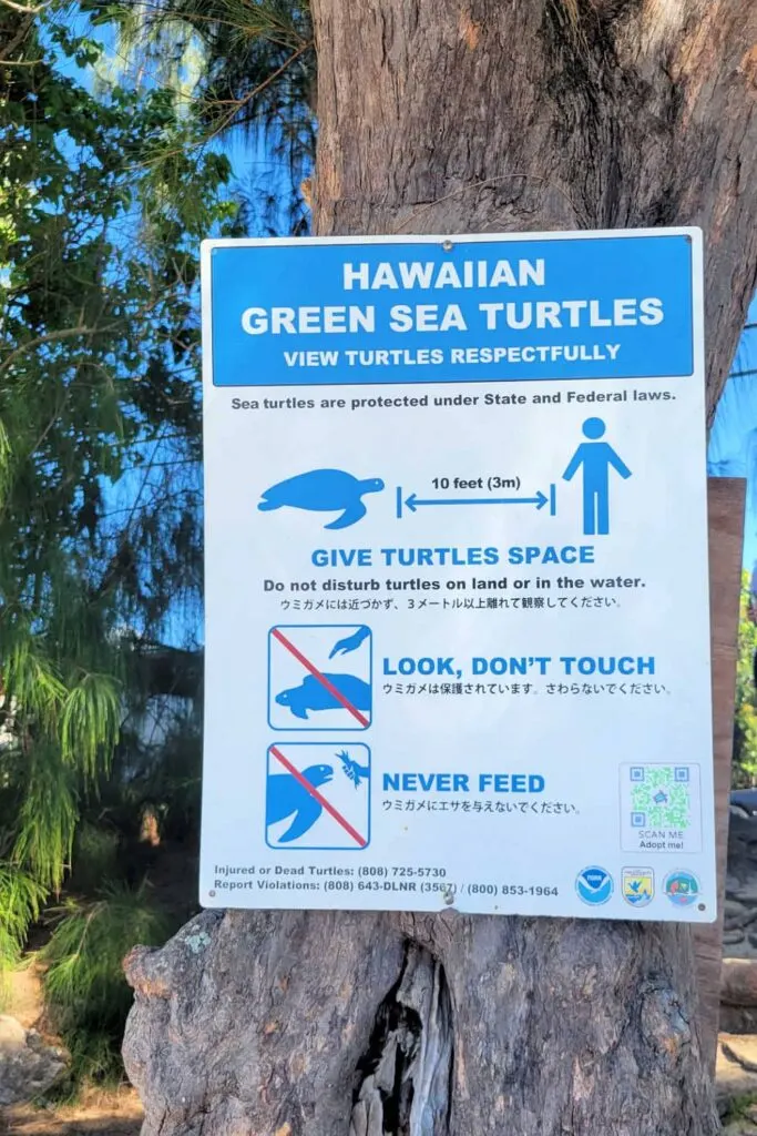 Sea turtle distance signage