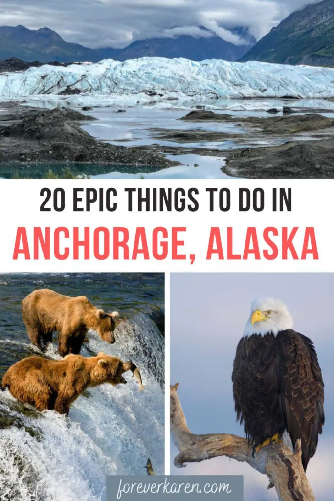 A glacier in Anchorage, Alaska, bears fishing in Brook Falls, and a bald eagle