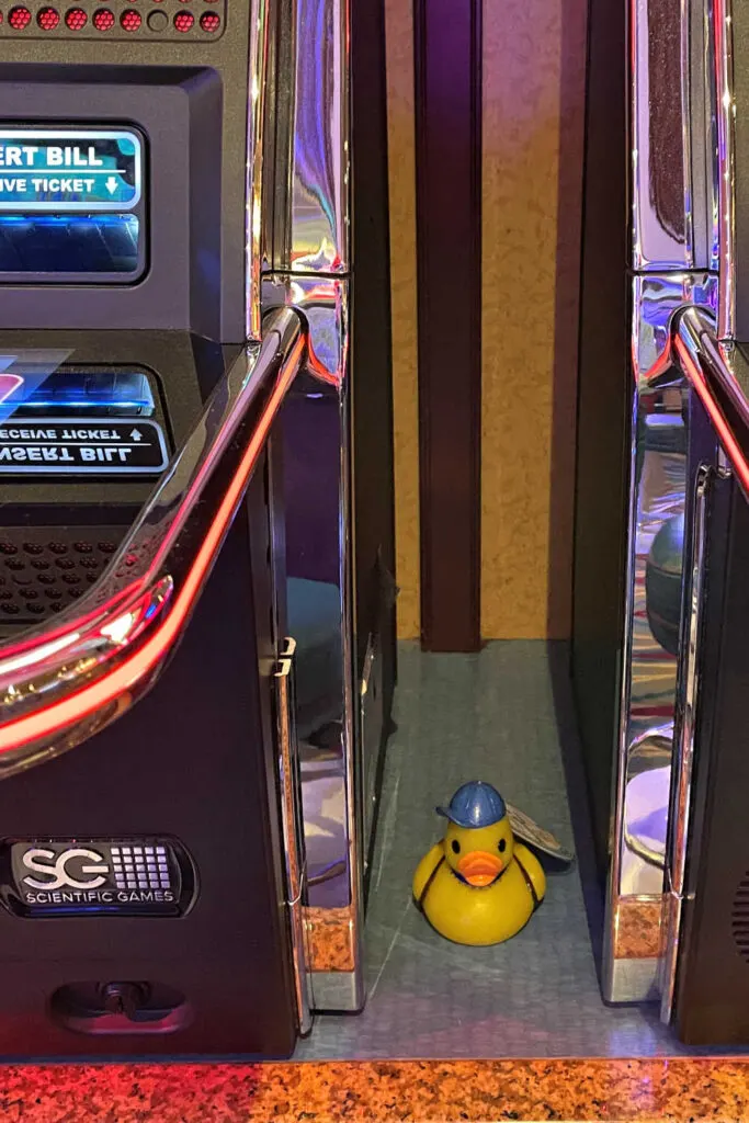 A duck placed between two slot machines