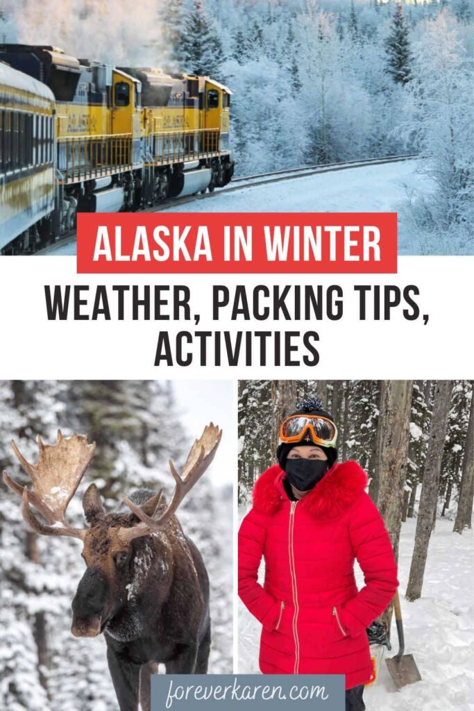 The Aurora Winter Train, a moose in the snow, and a woman dressed for winter in Alaska