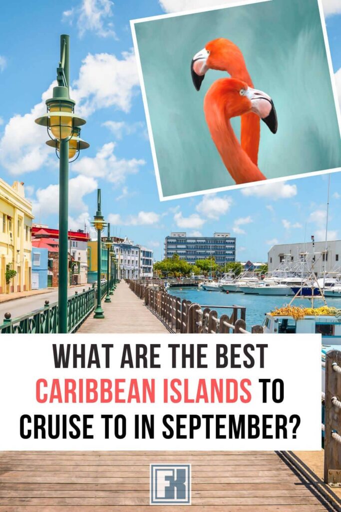 The Barbados promenade and pink flamingoes in the Caribbean