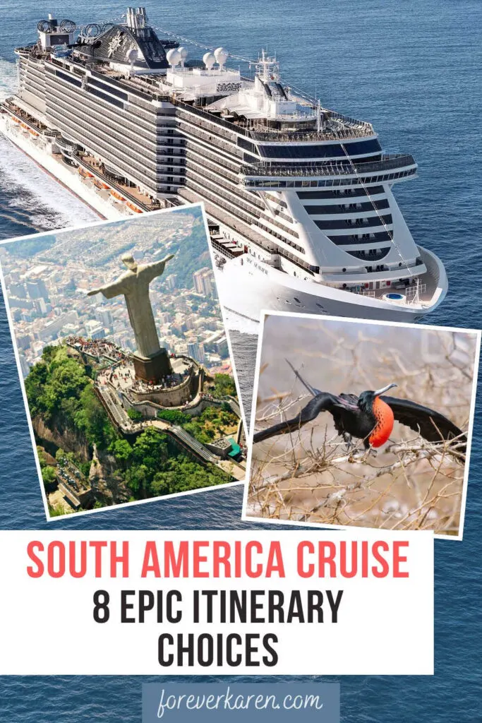 An MSC cruise ship, Christ the Redeemer and a Frigate bird from South America