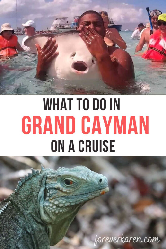 Swimming with stingrays and a blue iguana in Grand Cayman