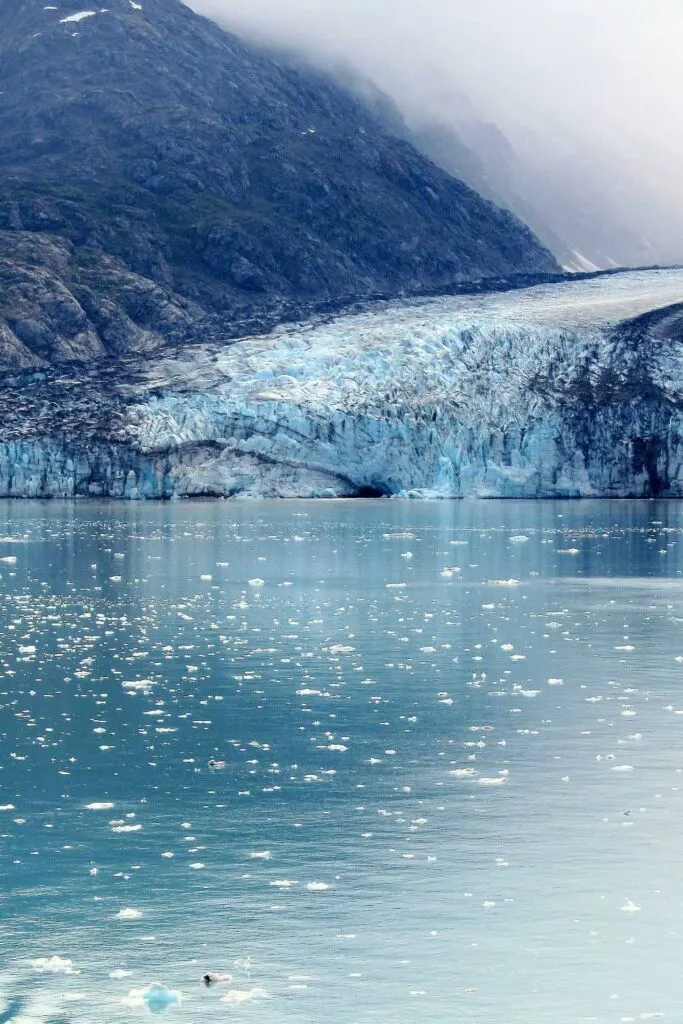 Lamplugh Glacier in Glacier Bay National Park