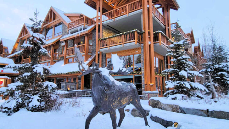 Moose Hotel and Suites in Banff