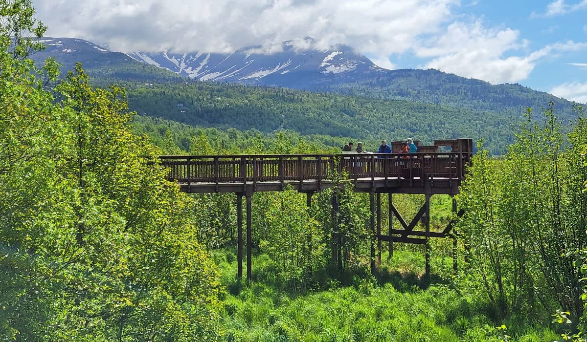 Potter Marsh Bird Sanctuary