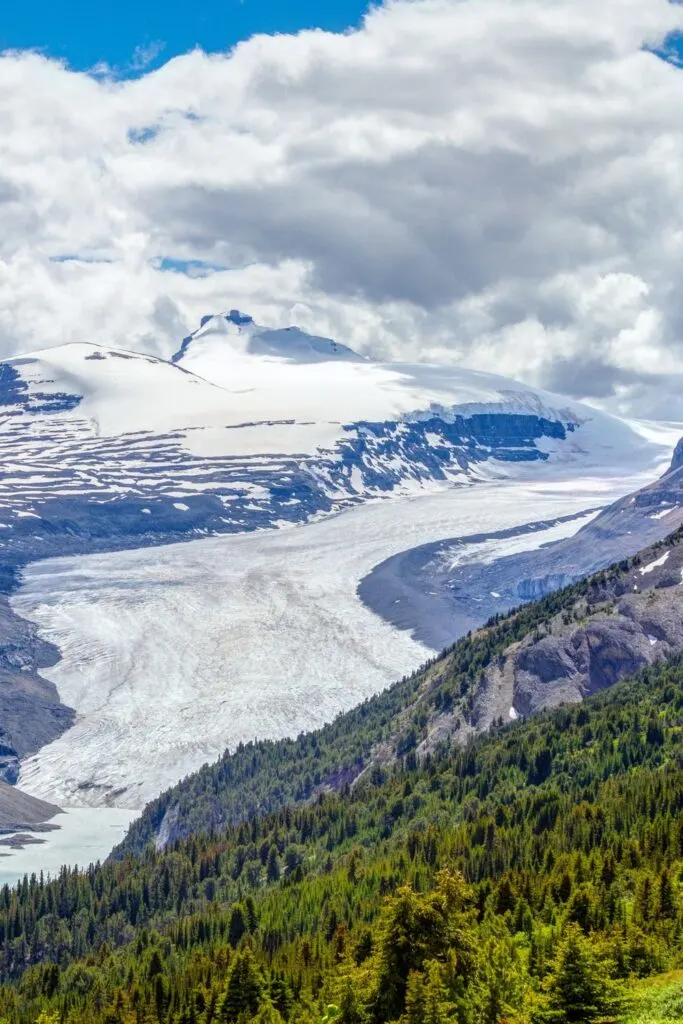 Saskatchewan Glacier from Parker Ridge trail in Banff