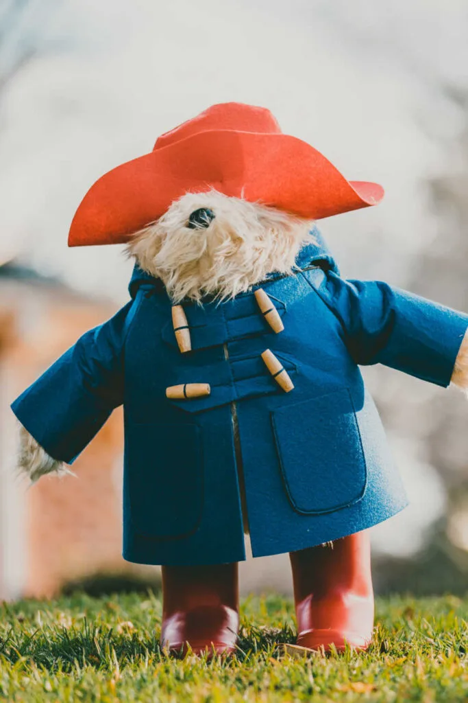 A souvenir Paddington Bear