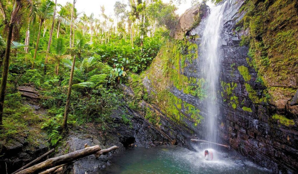 Juan Diego Falls, Yunque rainforest
