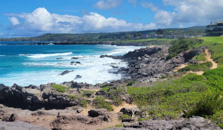 Rocky coastline in Maui