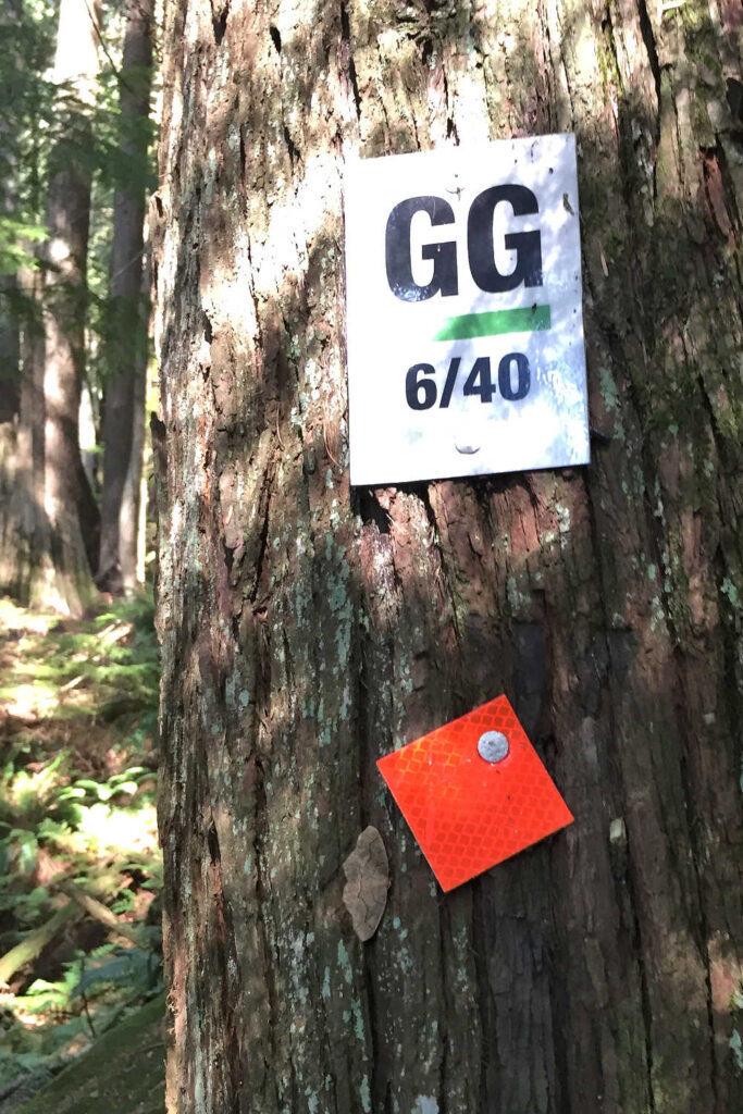 A trail marker on the Grouse Grind