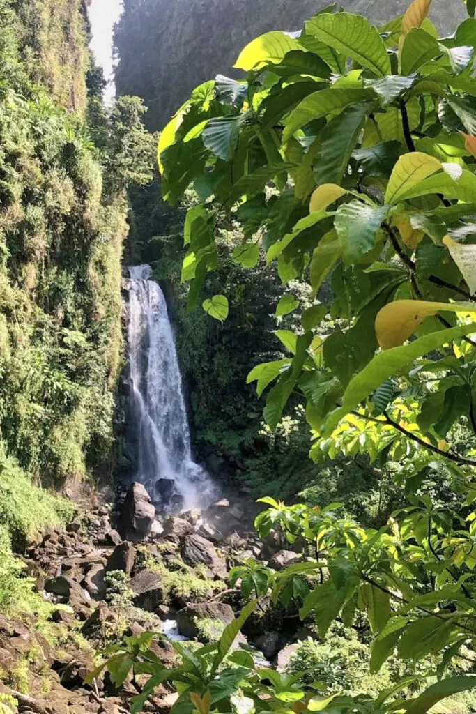 Trafalgar Falls in Dominica