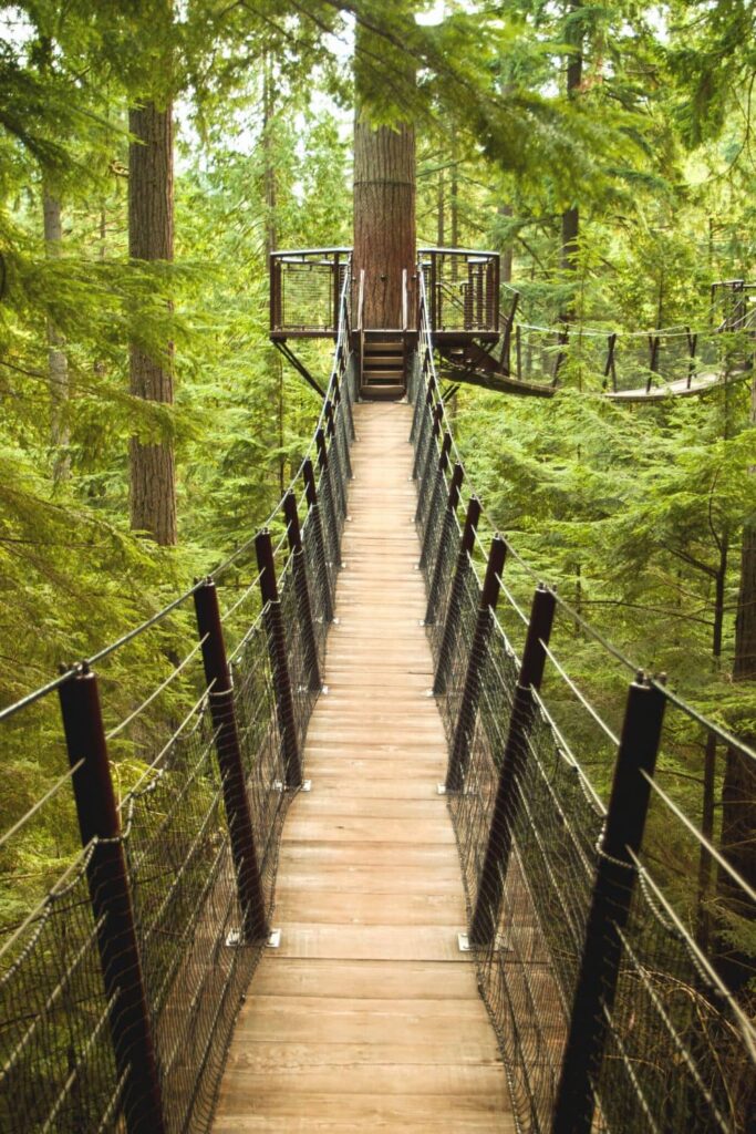 Treetop Adventures at the Capilano Suspension Bridge Park in Vancouver