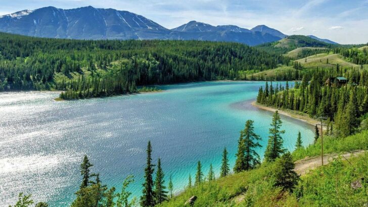 Turquoise hues of Emerald Lake in the Yukon territory