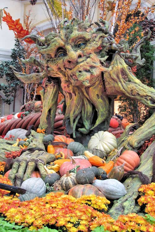 Fall display at the Conservatory Botanical Gardens in the Bellagio