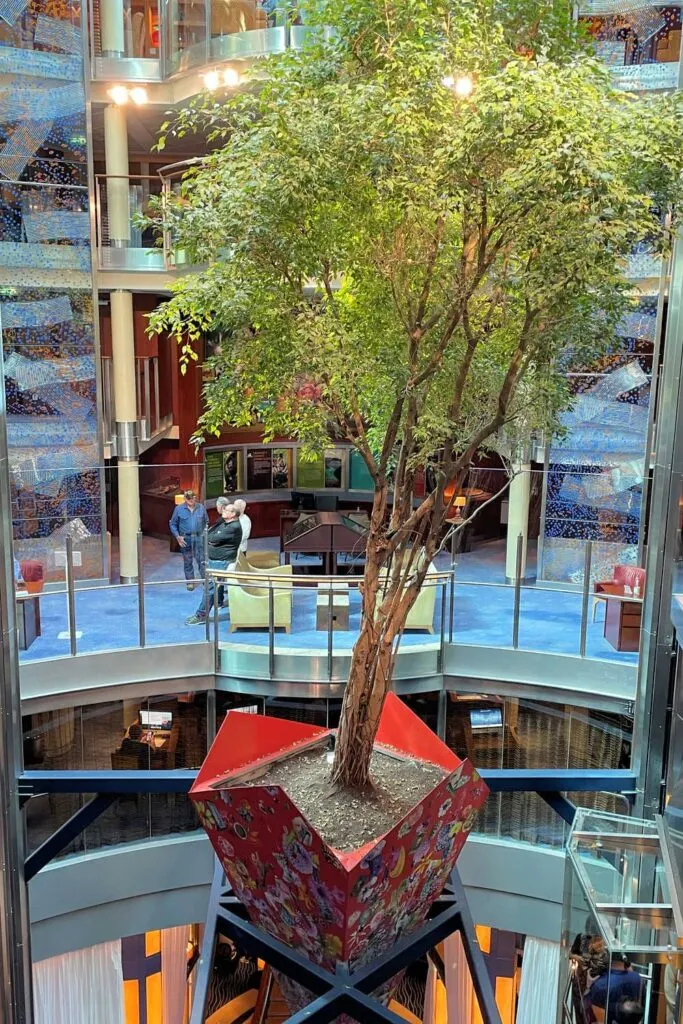 Ficus tree in the Celebrity Solstice atrium