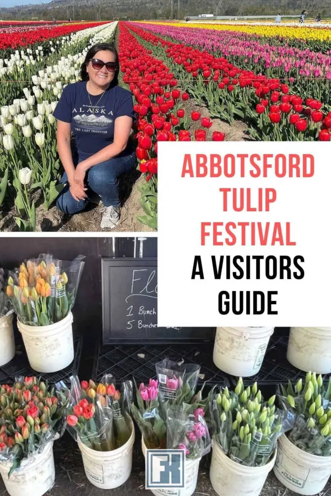 Crouched next to a field of blooms at the Abbotsford Tulip Festival, and buckets of tulips