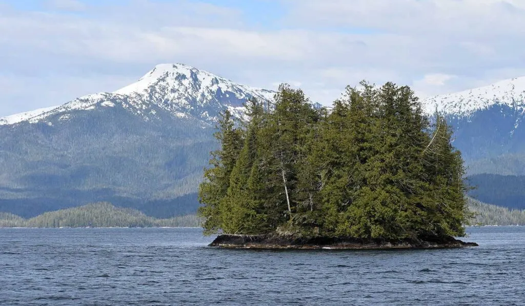 A small island in the Tongass Narrows