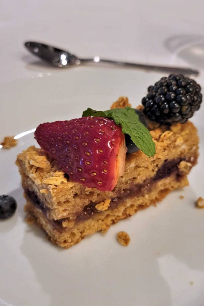 Crumbly oat and berry bar
