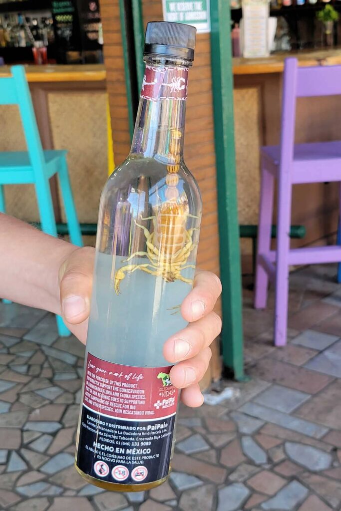Mezcal with a giant scorpion