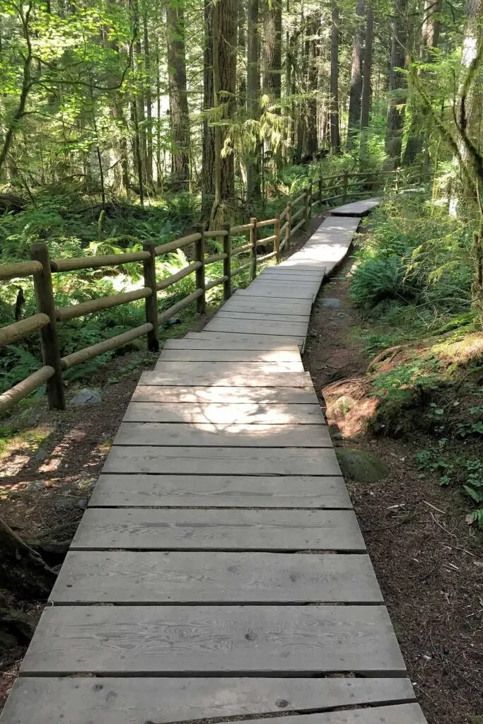 Lynn Canyon Loop hike in North Vancouver