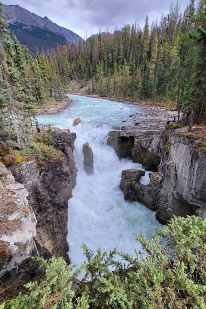 Sunwapta Falls