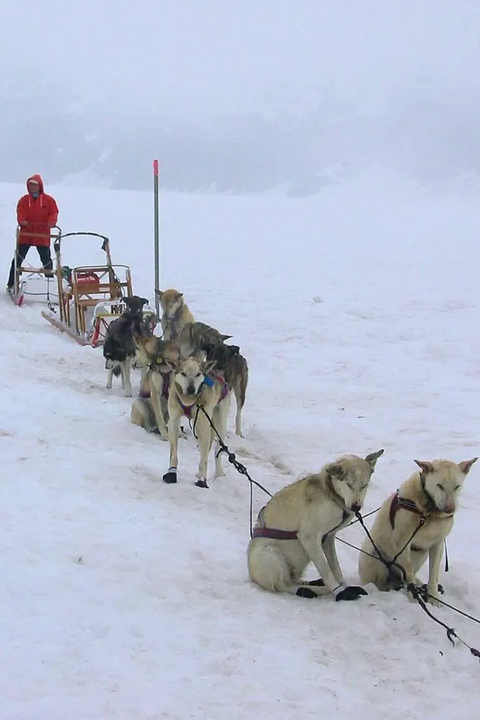 A sled dog team on the glacier