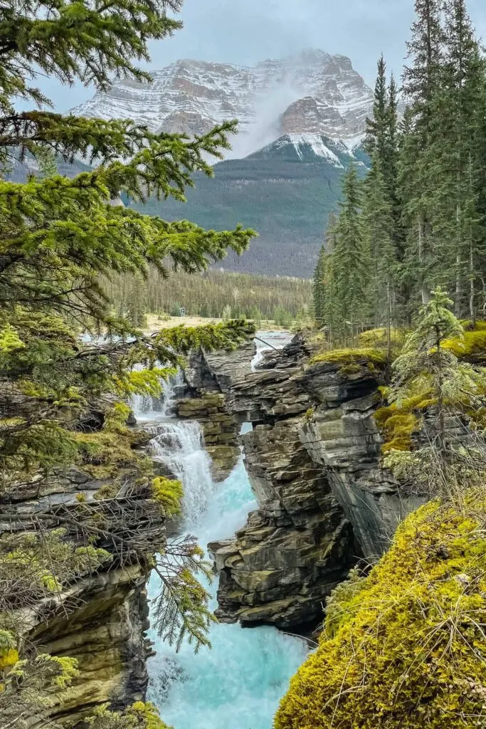 Athabasca Falls, Jasper National Park