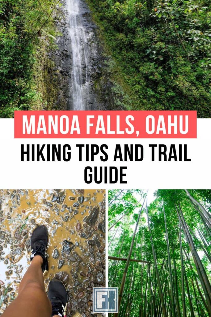 Manoa Falls, bamboo grove and muddy spots on the hiking trail