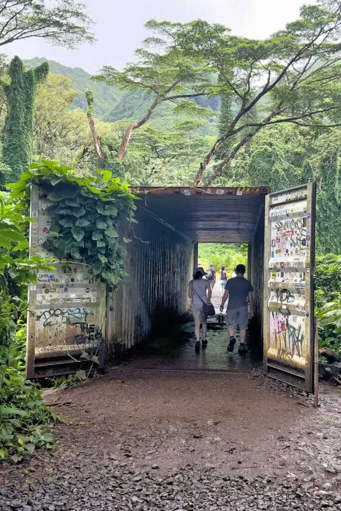 Shipping container on the Manoa Falls trail