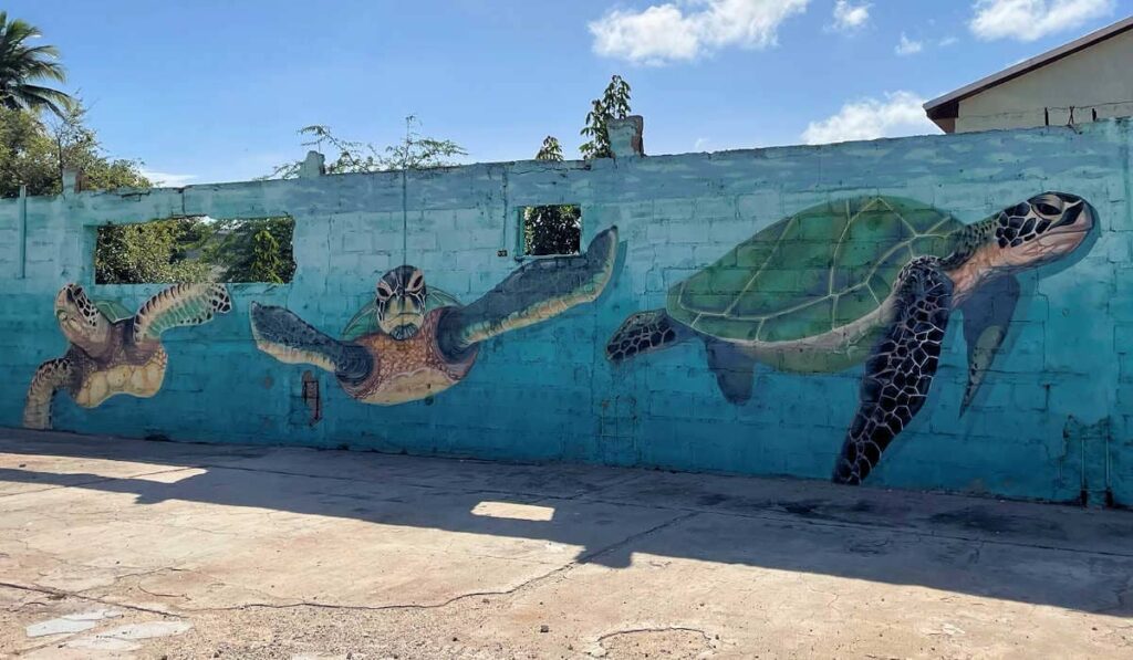 San Nicolaas turtle mural