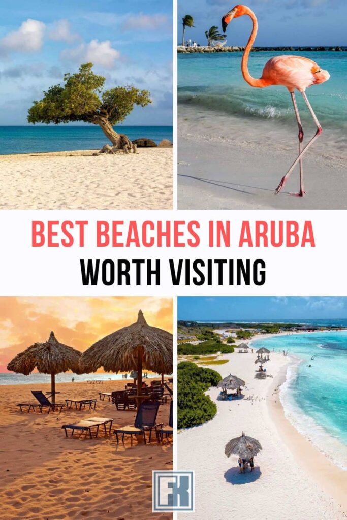 Infographic for the best beaches in Aruba featuring Eagle, Flamingo, Druif, and Baby Beaches