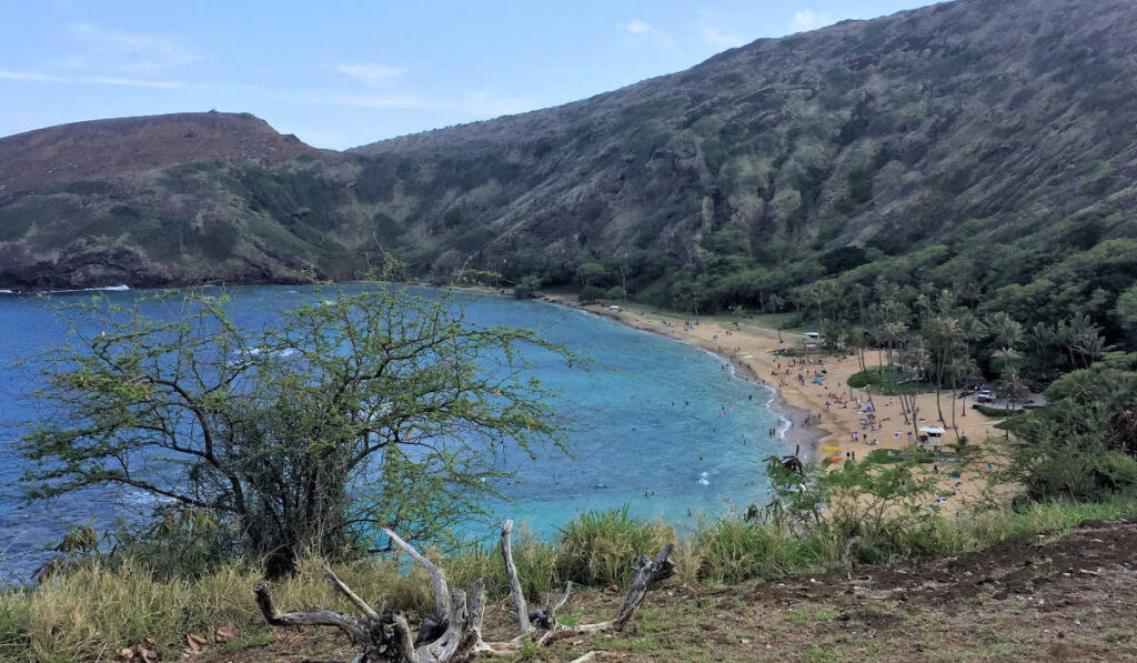 Hanauma Bay from the upper level