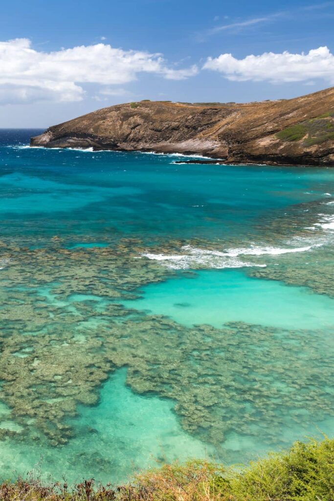 Hanauma Bay coral reefs