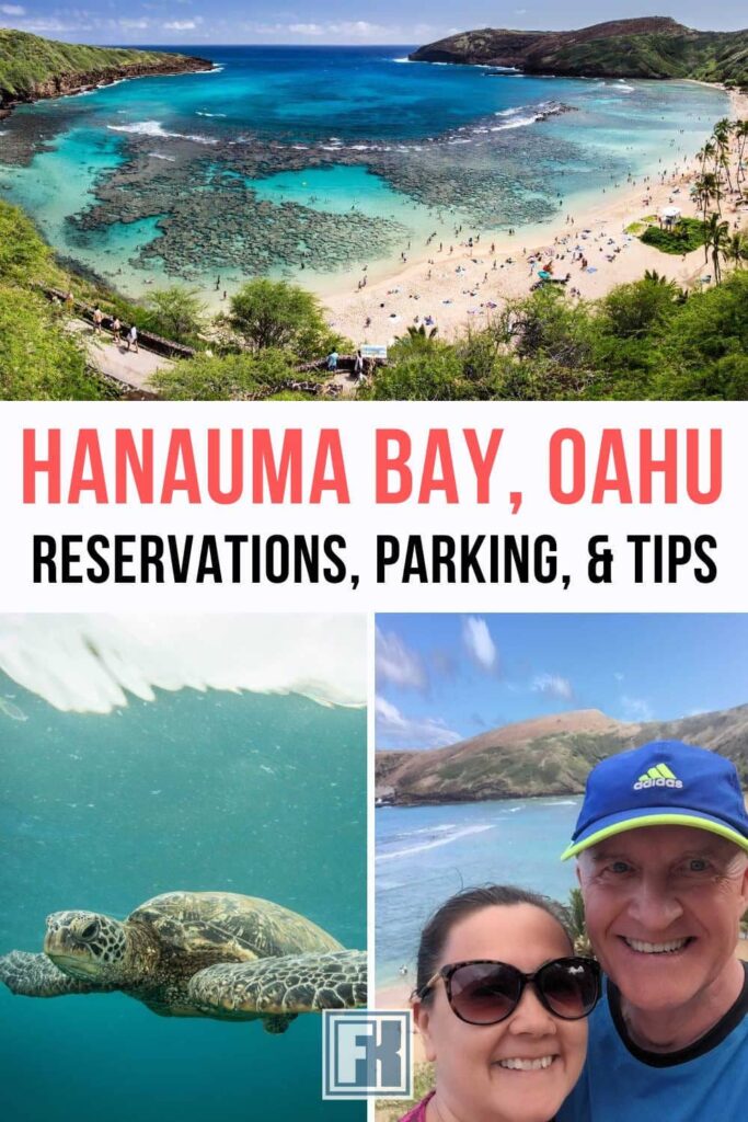 Hanauma Bay and a Hawaiian green sea turtle